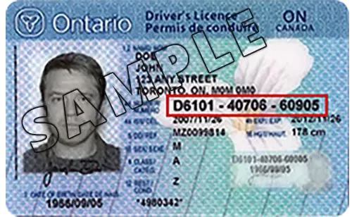 Canadian Driver’s License Without Exam