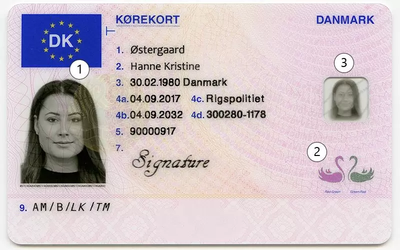 Purchase a Danish Driver’s License Online